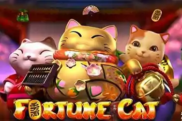 Gameplay Slot