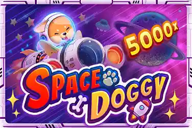 IDN Play Slot